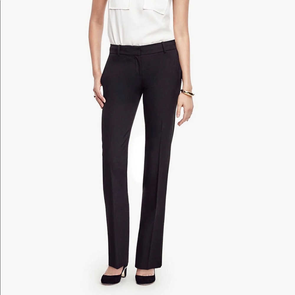 The Petite Straight Paint in Seasonless Stretch